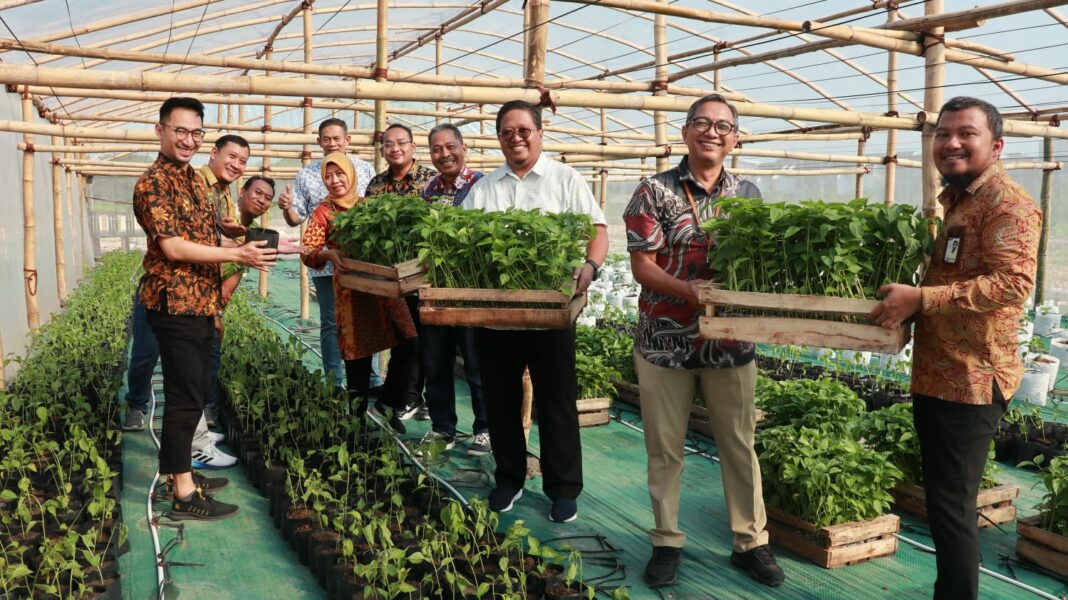 manfaatkan lahan tidur untuk kemandirian pangan, k3pg dirikan green house