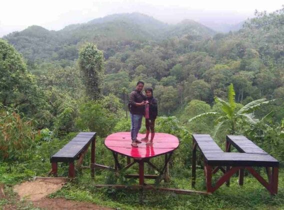 Hutan Pinus Nongko Ijo Madiun, (Foto: Ist/ gresiksatu.com)