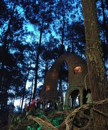 Hutan Pinus Nongko Ijo Madiun, (Foto: Ist/ gresiksatu.com)