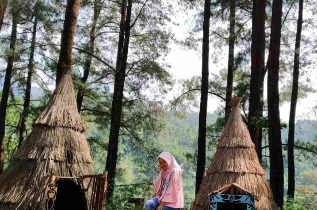 Hutan Pinus Nongko Ijo Madiun, (Foto: Ist/ gresiksatu.com)