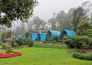 bromo camp house