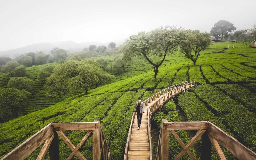 bukit kuneer, malang