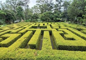 coban rondo