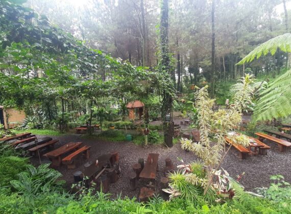 kedai hutan cempaka 1