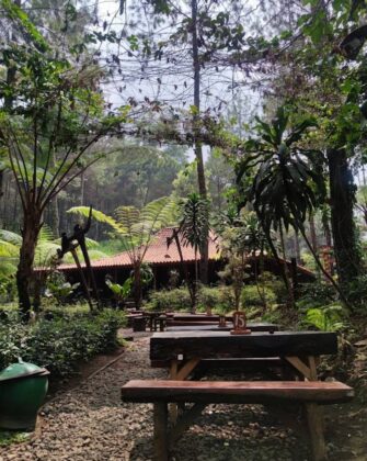 kedai hutan cempaka 4