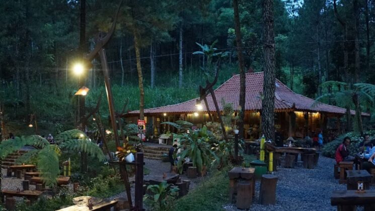 kedai hutan cempaka