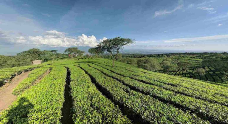 keindahan bukit kuneer di malang 1