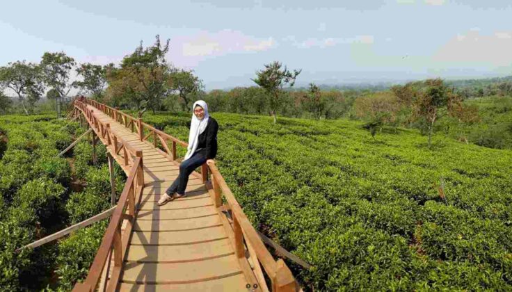 keindahan bukit kuneer di malang 2