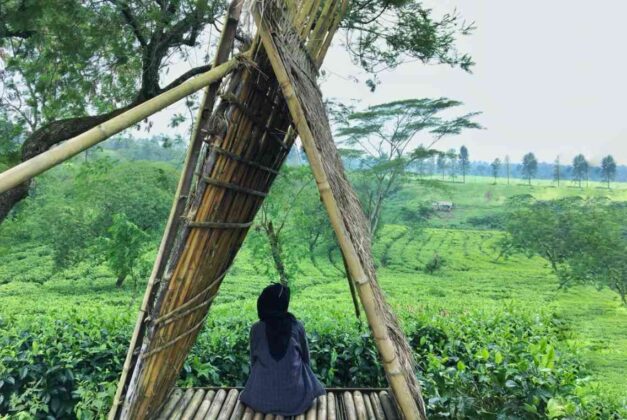 keindahan bukit kuneer di malang 6