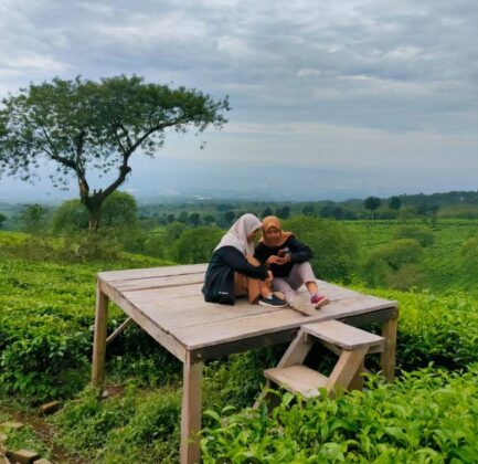 keindahan bukit kuneer di malang 8