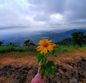 puncak gunung gajah