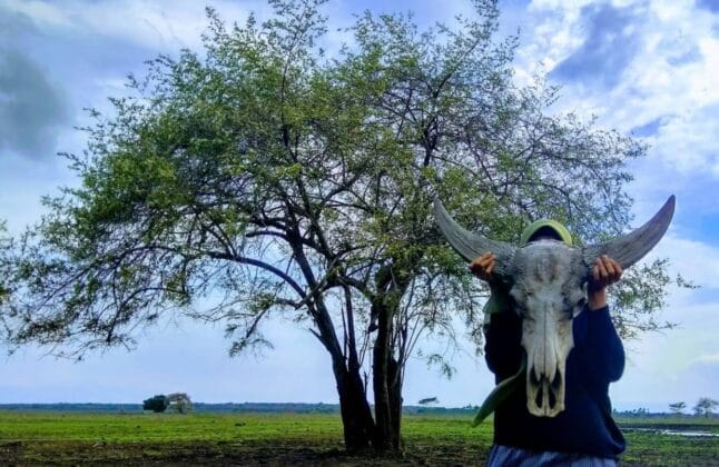 taman nasional baluran