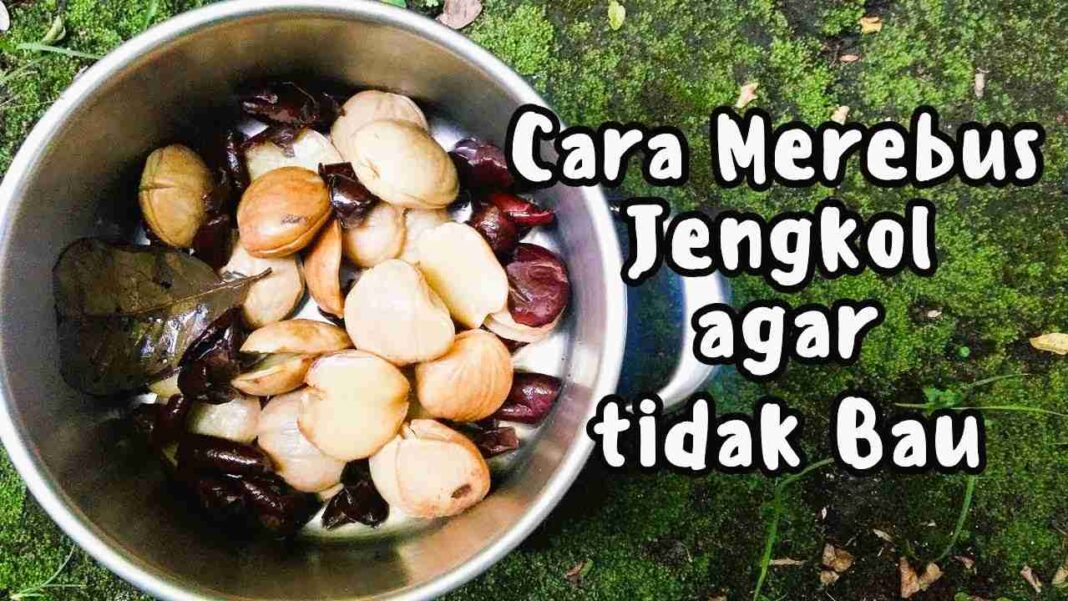 tambahkan 1 bahan ini saat merebus jengkol, pasti empuk dan tidak bau