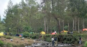 wisata petik jeruk selorejo