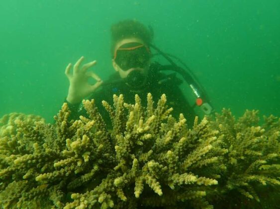 pantai tiga warna, banyuwangi 03