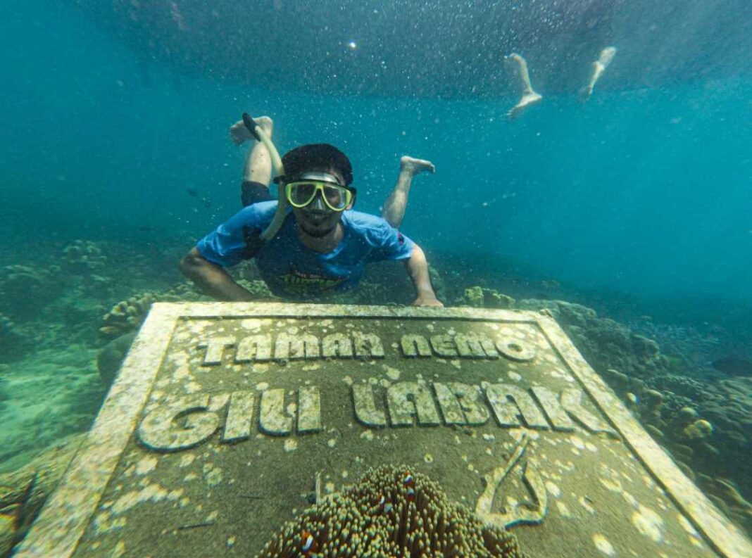 Taman Nemo bawah laut, Pulau Gili Labak, Sumenep, Madura.