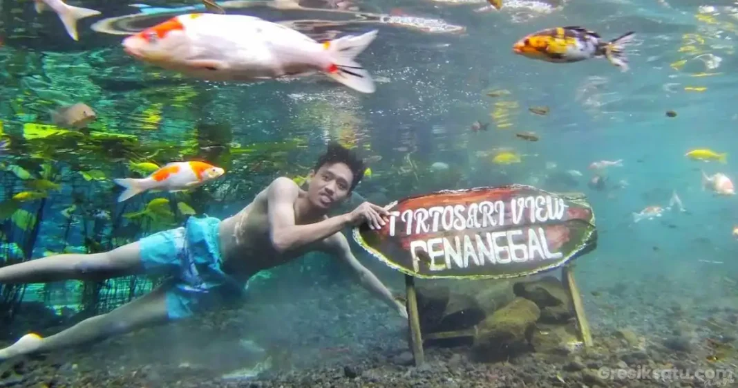 foto underwater di pemandian tirtosari lumajang bersama ikan ikan cantik