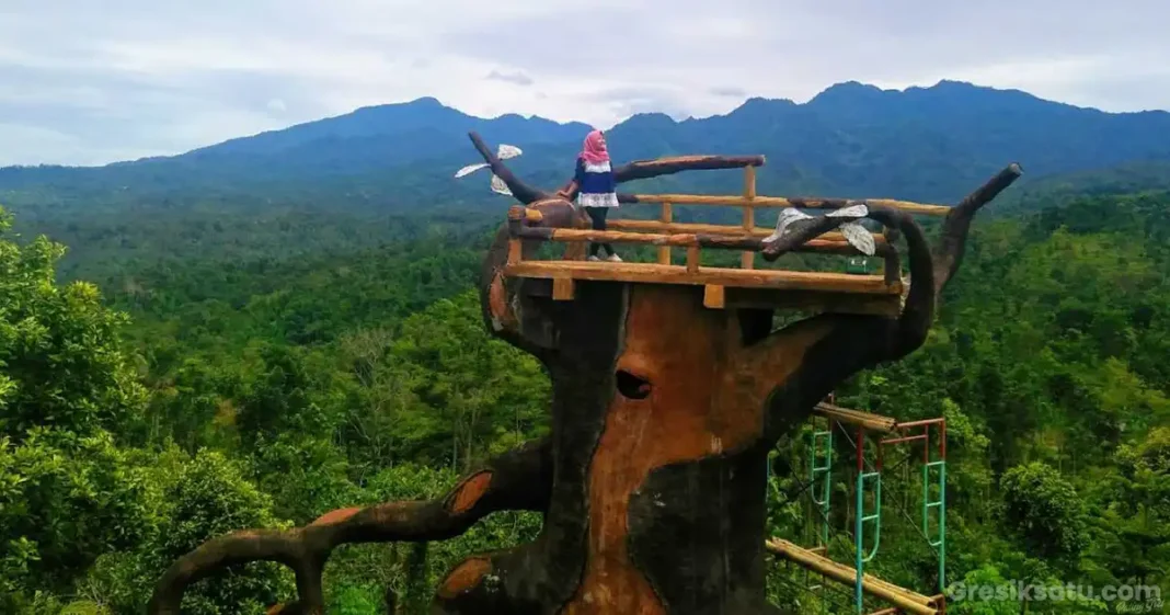 panorama bukit gandrung di kediri