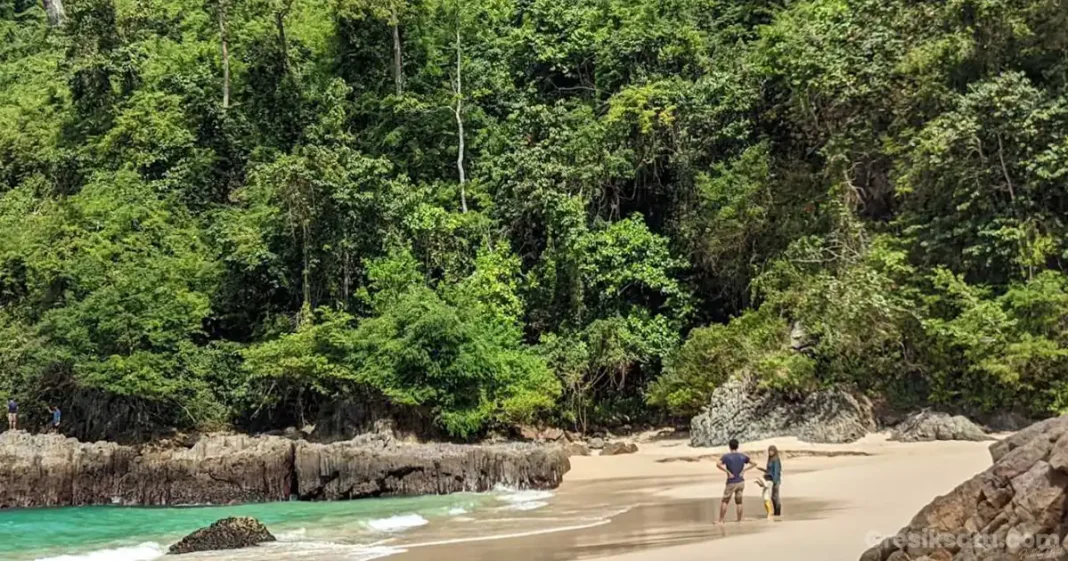 pemandangan taman nasional meru betiri dengan hutan lebat dan pantai yang indah